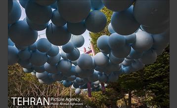 بلوار کشاورز 16