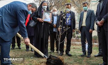 مراسم‌ کاشت نهال در بوستان بهاران منطقه ۱۷