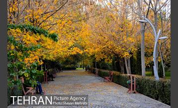 طبیعت پاییزی بوستان لاله 26