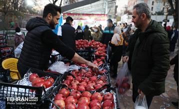 دوازدهمین جشنواره انار  12