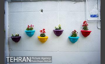 کوچه امیدی رنگ نوروز گرفت 27