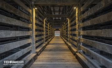 90 سال با سی مان ری  6