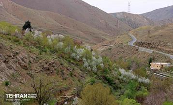 هوای بهاری منطقه 22 32