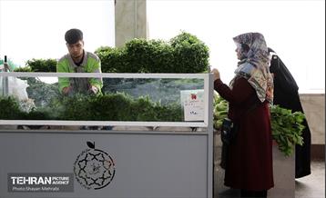 تور بازدید از میادین و بازارهای میوه و تره‌بار شهرداری تهران 49