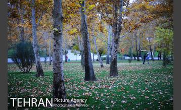 پاییز در بوستان ملت 31