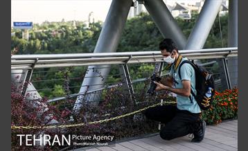 تور عکاسی منطقه گردشگری عباس آباد  8