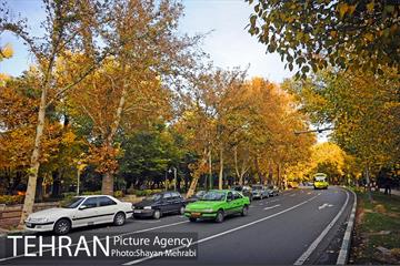 طبیعت پاییزی بلوار کشاورز 25