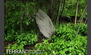 باغ گیاه‌شناسی ملی ایران 16