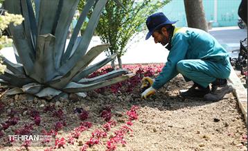 آماده سازی بهشت حضرت زهرا(س) برای سالگرد ارتحال امام خمینی (ره) 17
