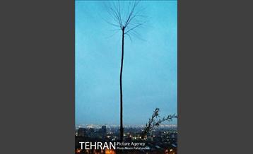 تهران بارانی 2