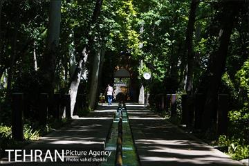 باغ ایرانی 21