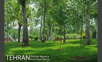 بوستان بعثت 35