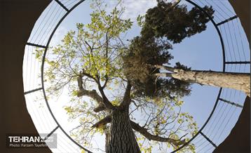 هشتادوششمین رویداد امیدوافتخار 2