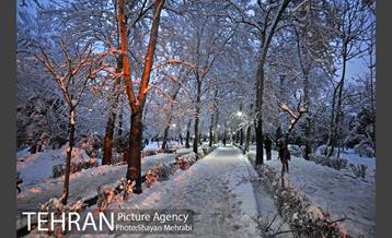 روز برفی در پارک لاله 9