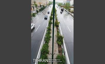 تهران بارانی 24