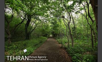 باغ گیاه‌شناسی ملی ایران 10
