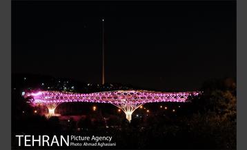 پیاده روی شبانه بر روی پُل طبیعت 1