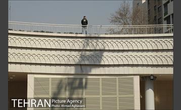 بازدید هنرمندان از بروژه بلازای ولیعصر 10