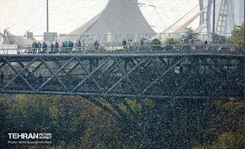 مراسم رونمایی از پویش "همه هوادار ایران" 23