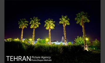 شب های باغ هنر 25