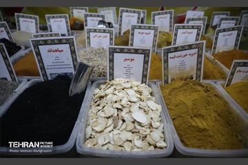 افتتاح جشنواره اقوام و گذر گردشگری دارالمومنین تهران 23