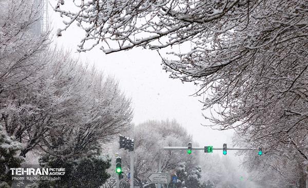 روز برفی در منطقه 6