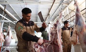 مرکز عرضه دام بهداشتی به مناسبت عید قربان 35