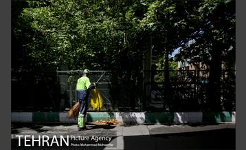 آماده سازی دانشگاه تهران برای نماز جمعه 12