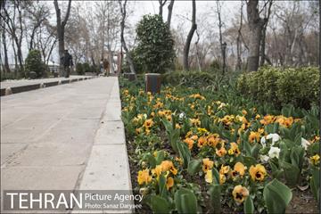 بوستان باغ ایرانی ده ونک 2