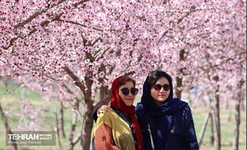 شکوفه‌های بهاری در بوستان سمن‌ها 14