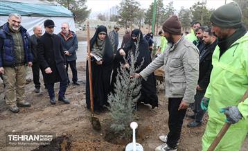 آغاز کاشت ۲۵ هزار اصله نهال غیرمثمر در بوستان چیتگر 22