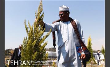 آیین کاشت درخت صلح و دوستی 40