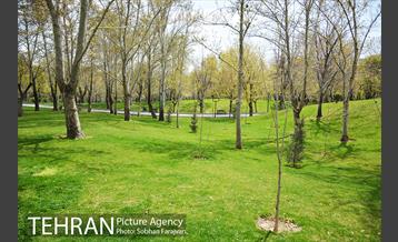 روز طبیعت متفاوت شهر تهران-1 15