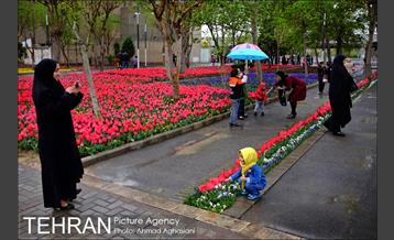 جشنواره لاله‌ها در بوستان زندگی محله هرندی 3