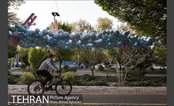 بلوار کشاورز 13