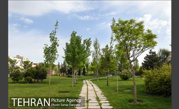 بوستان پلیس 34