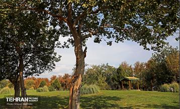 بوستان قائم 29