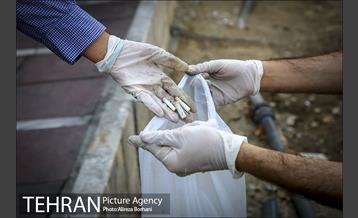 روز جهانی زمین پاک 12