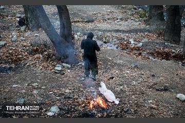 بازدید شهردار تهران از منطقه 2