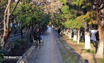 استقبال از بهار - 5 11