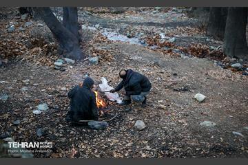 بازدید شهردار تهران از منطقه 2