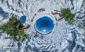 حیات وحش تهران  2