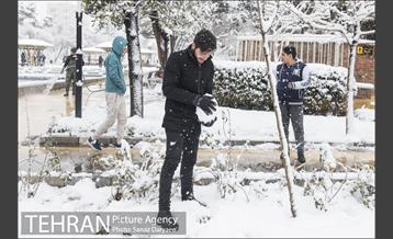 بارش برف در میدان نبوت (هفت حوض) 2