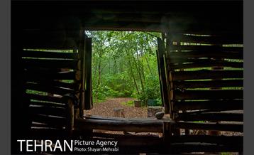 باغ گیاه‌شناسی ملی ایران 29