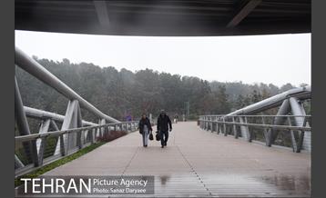 بارش باران در منطقه گردشگری عباس آباد 16