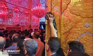 حرم امیرالمؤمنین(ع) در آستانه اربعین حسینی 16