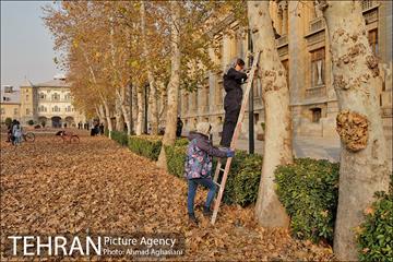 سومین رویداد هنری "پاییز برگ" در میدان مشق 49