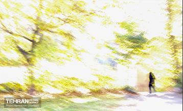 سمفونی رنگ های پاییزی - کاخ سعدآباد 29