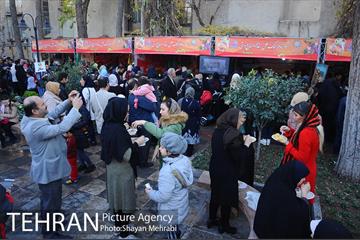 جشنواره فرهنگ ملل، غذا و صنایع دستی در منطقه 10 23
