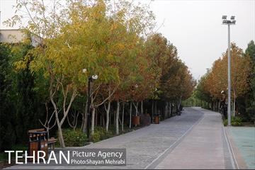 بوستان نهج البلاغه (فاز2) 7